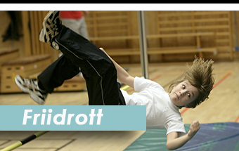 Stockholm Parkour Academy